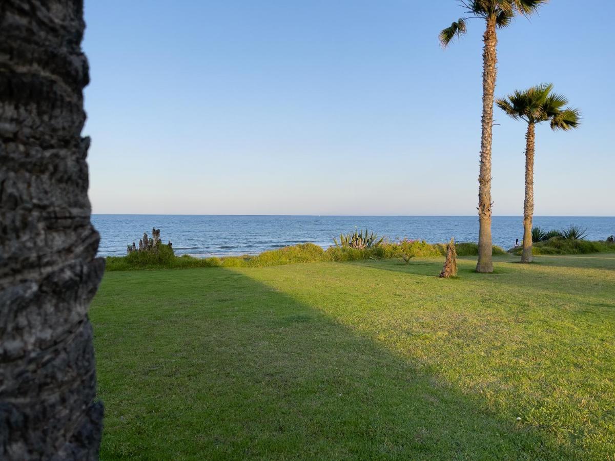 Torrevieja Experience Mar Azul Lejlighed Eksteriør billede