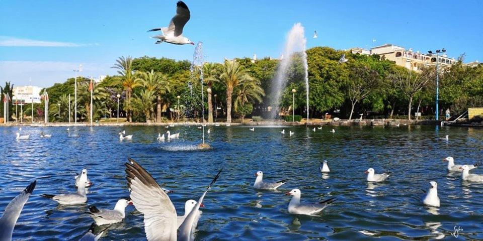 Torrevieja Experience Mar Azul Lejlighed Eksteriør billede